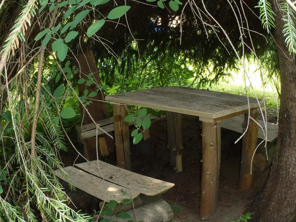 Modry Pension Rokytnice Rokytnice nad Jizerou Dış mekan fotoğraf